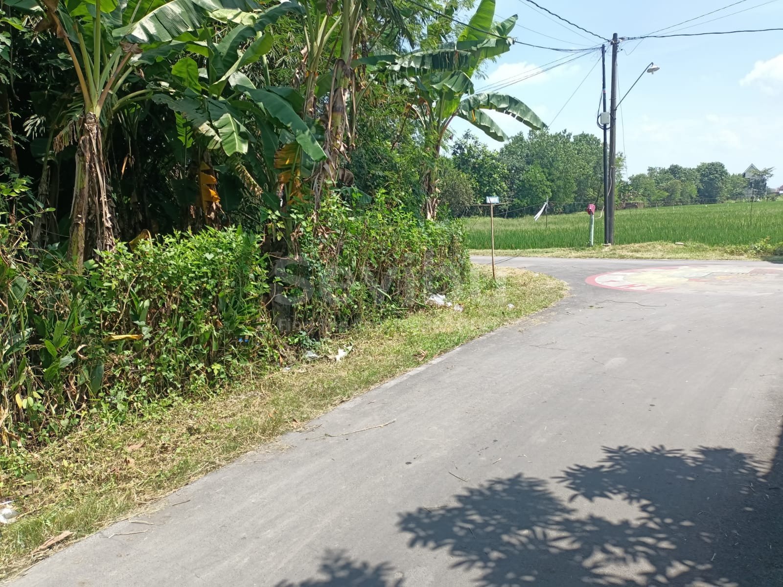 WhatsApp Image 2025-04-26 at 13.13.21 (1)