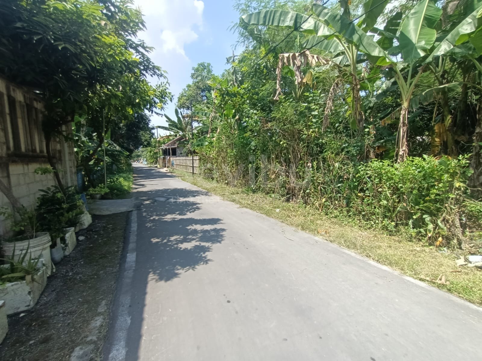 WhatsApp Image 2025-04-26 at 13.13.21