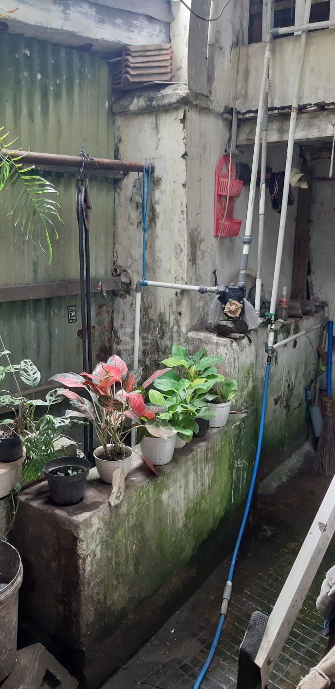 WhatsApp Image 2025-06-18 at 08.55.36