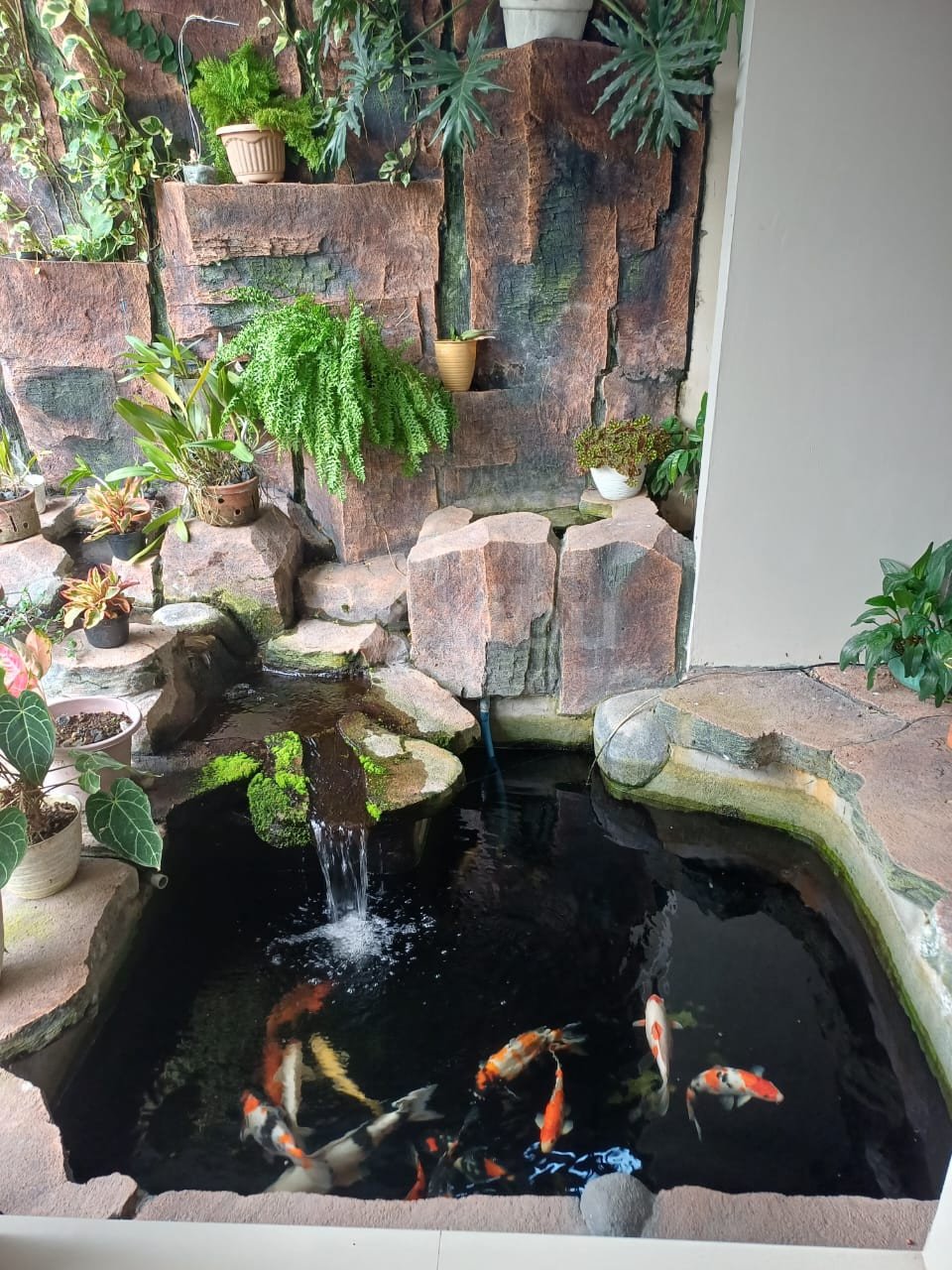 WhatsApp Image 2025-06-28 at 11.59.42