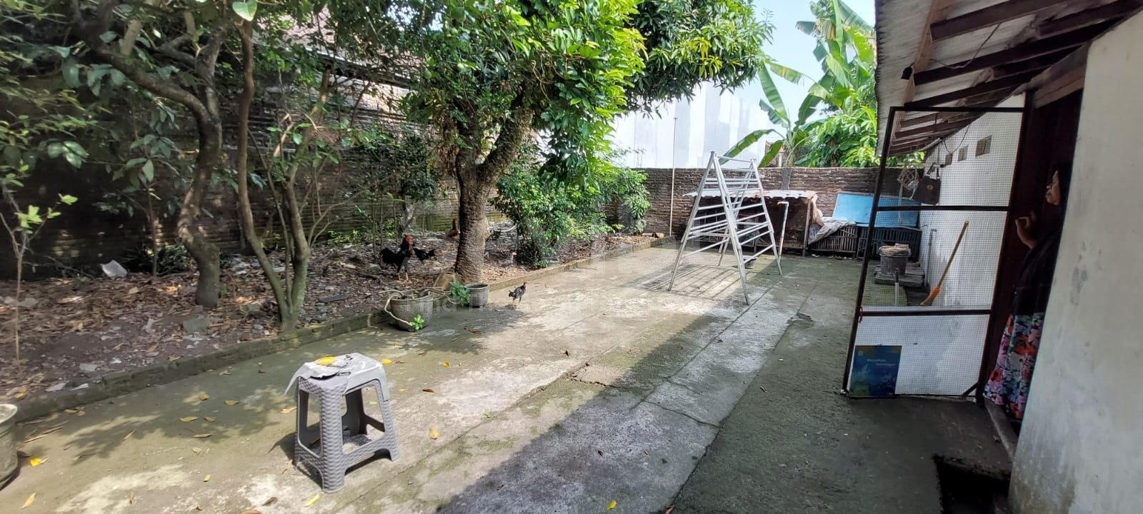 WhatsApp Image 2025-06-28 at 12.51.15 PM (2)