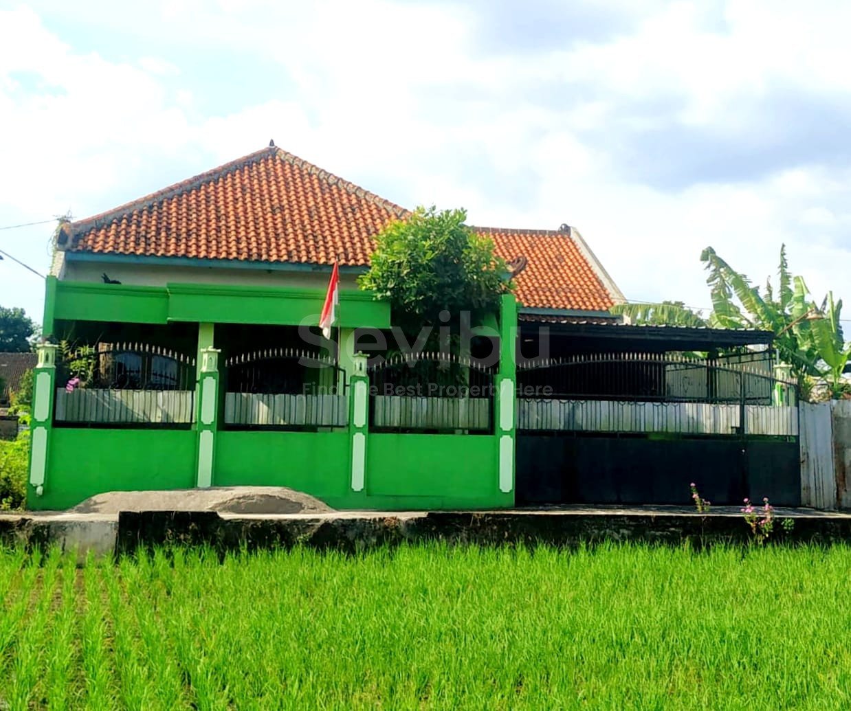 WhatsApp Image 2025-07-07 at 09.50.18