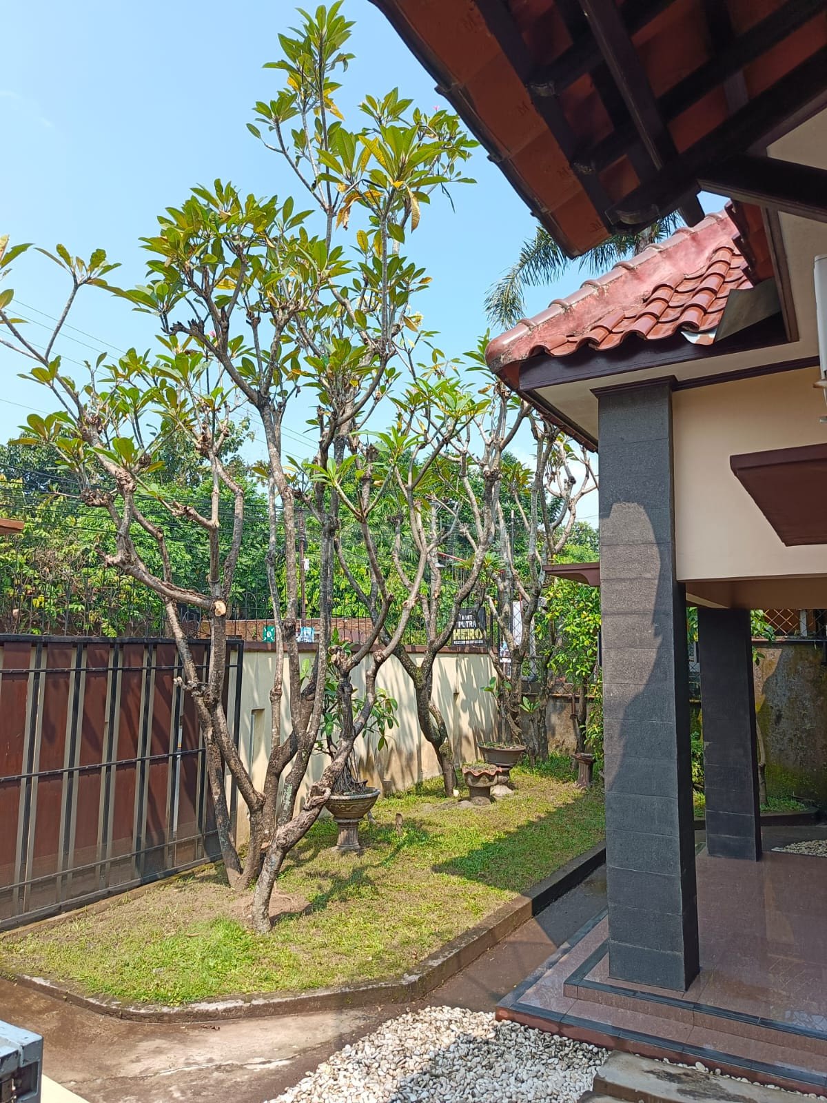 WhatsApp Image 2025-07-07 at 3.30.35 PM (1)