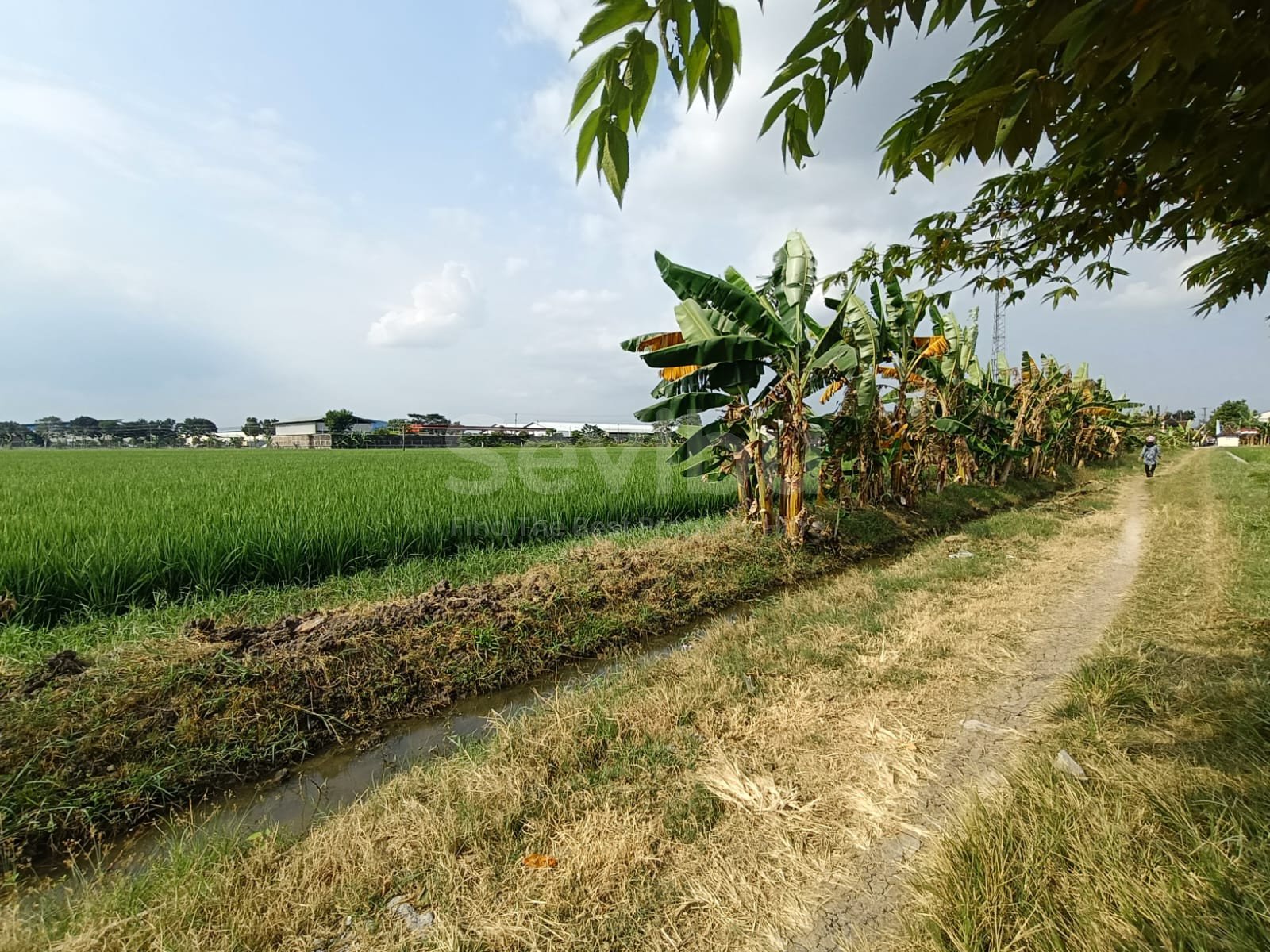 WhatsApp Image 2025-07-18 at 13.27.17 (1)