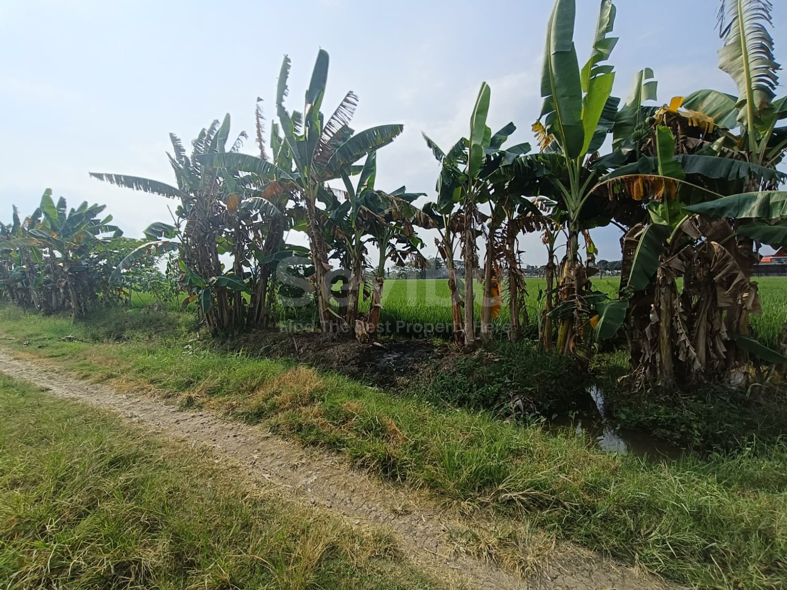 WhatsApp Image 2025-07-18 at 13.27.17