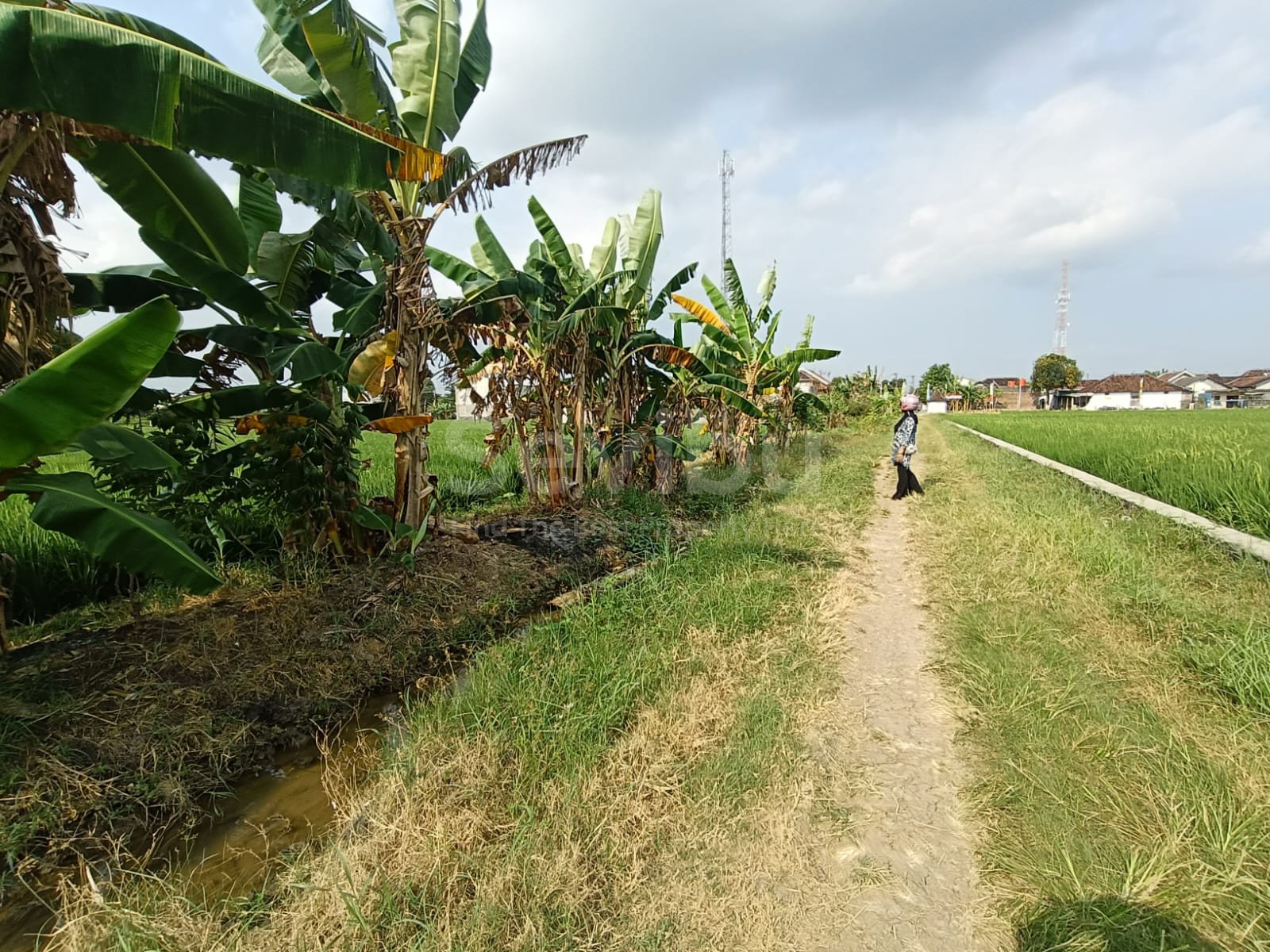 WhatsApp Image 2025-07-18 at 13.27.18