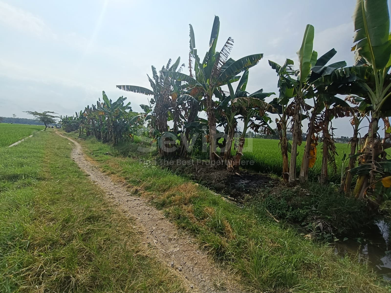 WhatsApp Image 2025-07-18 at 13.27.28 (1)