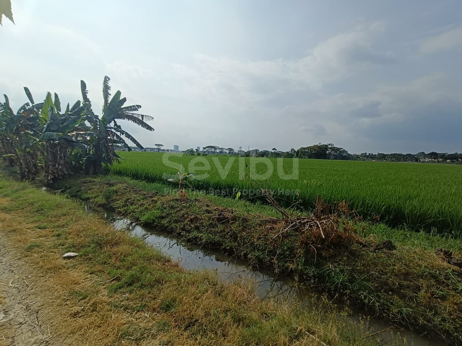 WhatsApp Image 2025-07-18 at 13.27.28 (2)