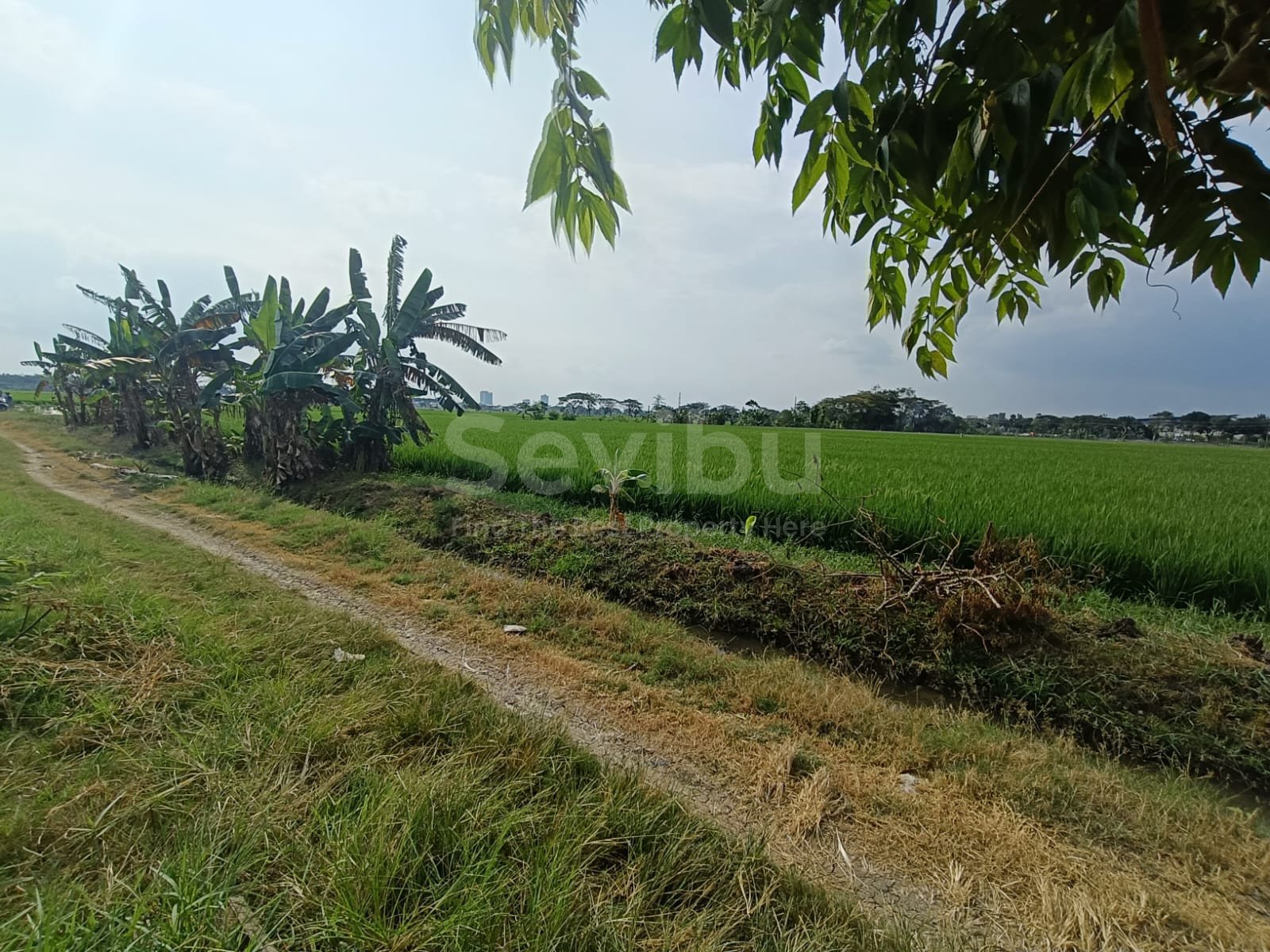 WhatsApp Image 2025-07-18 at 13.27.28