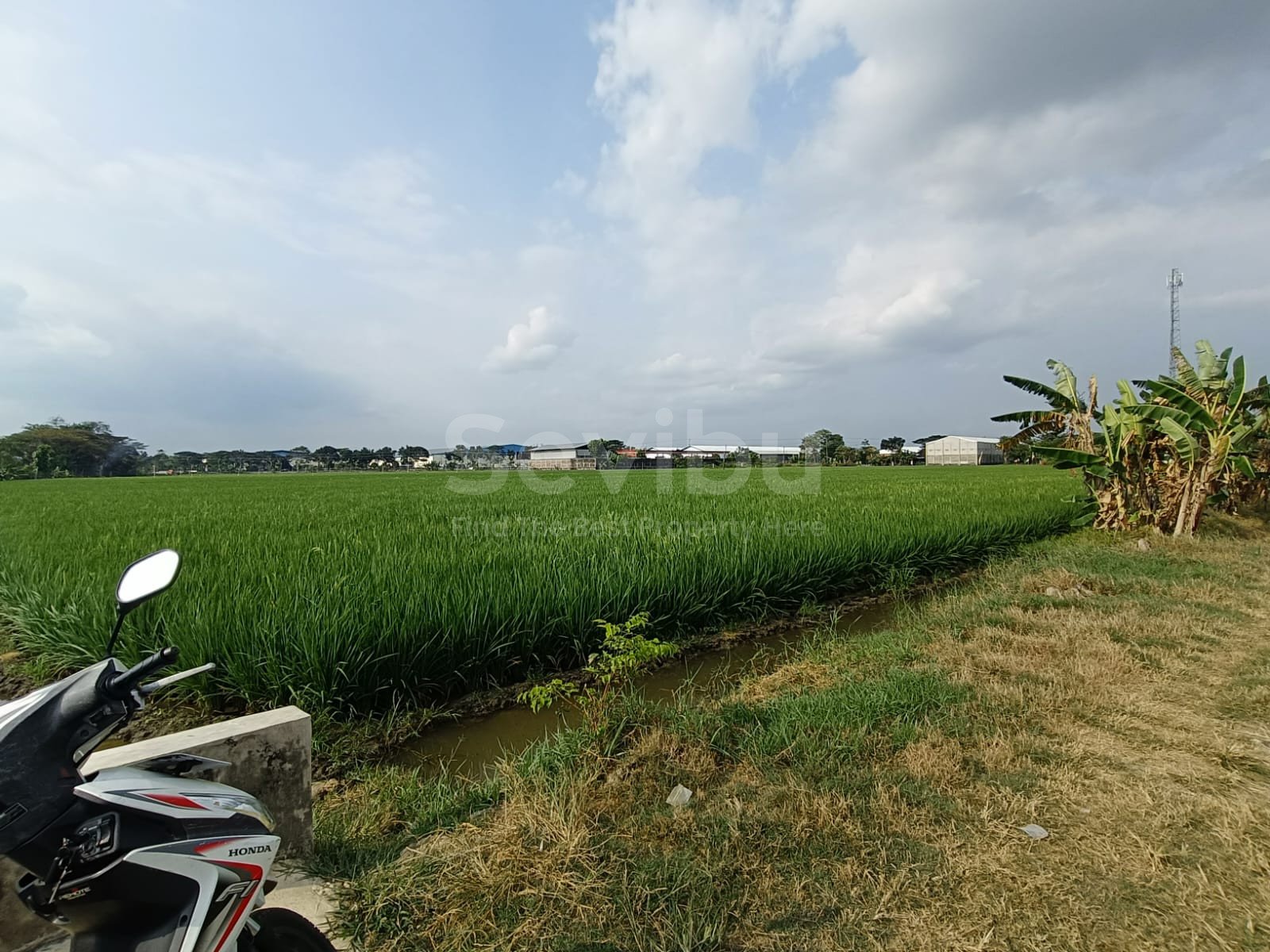 WhatsApp Image 2025-07-18 at 13.27.29 (1)