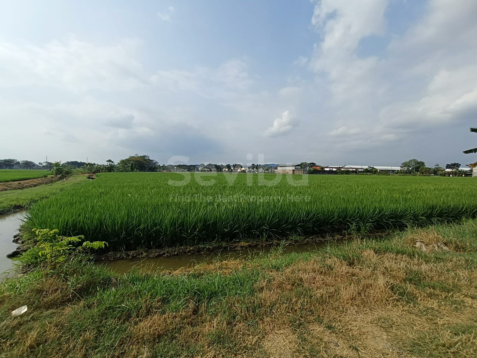 WhatsApp Image 2025-07-18 at 13.27.29