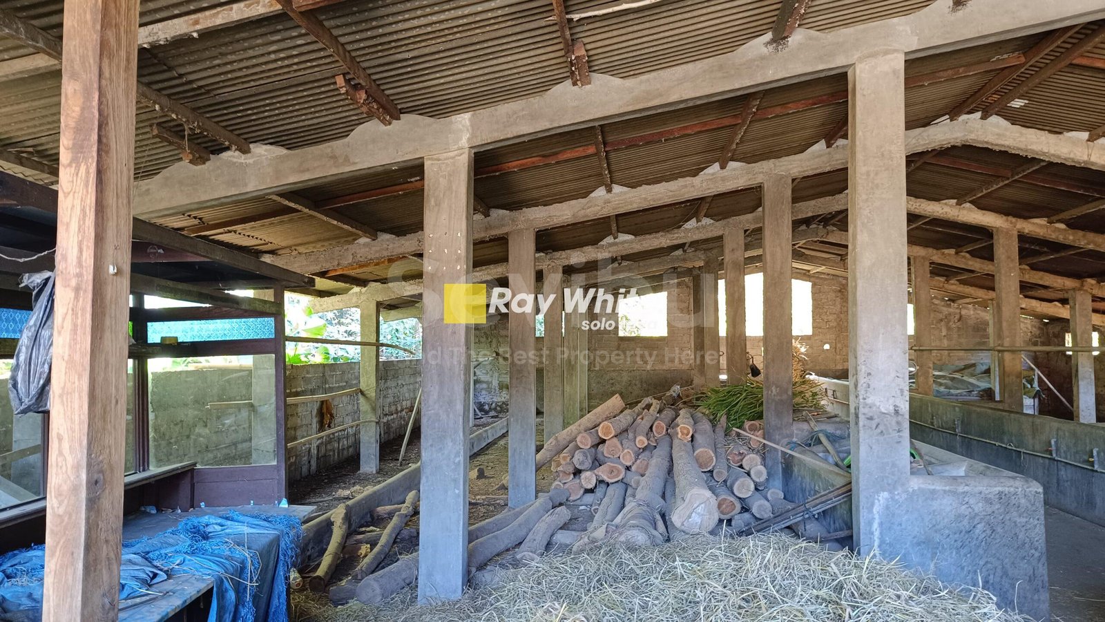 WhatsApp-Image-2025-07-19-at-3.06.06-PM-scaled