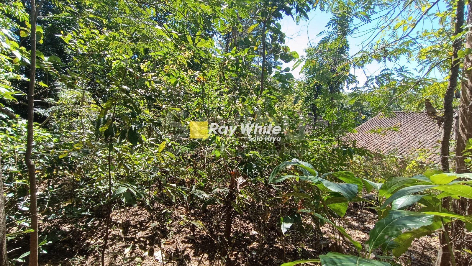 WhatsApp-Image-2025-07-19-at-3.06.09-PM-1-scaled