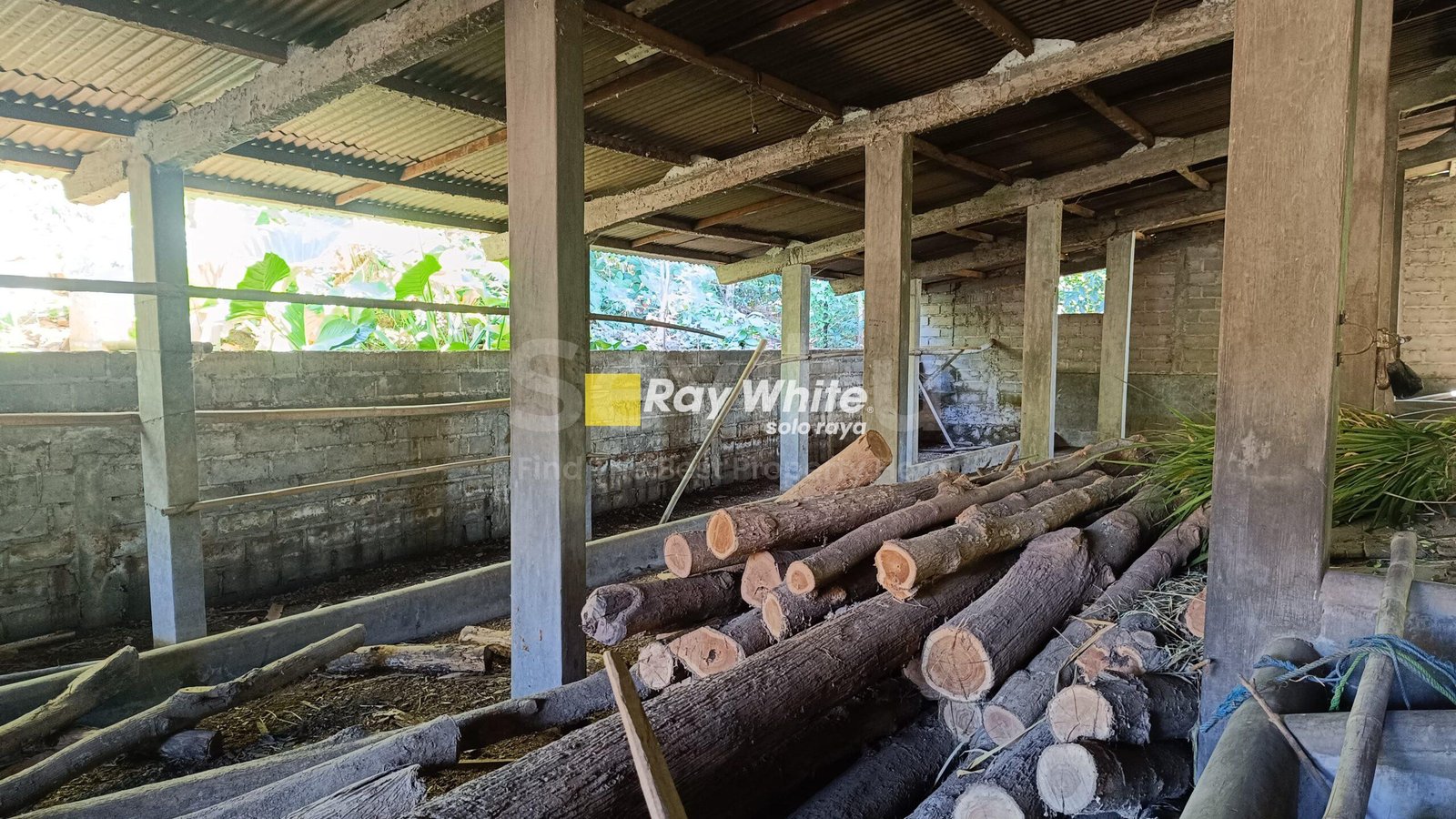 WhatsApp-Image-2025-07-19-at-3.06.09-PM-scaled