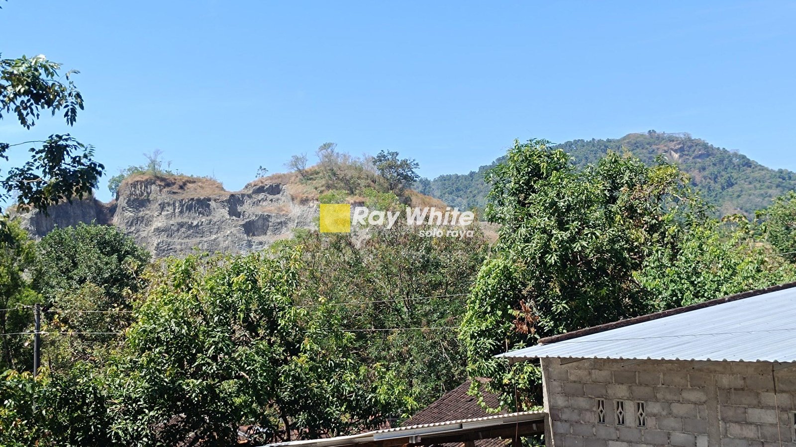 WhatsApp-Image-2025-07-19-at-3.06.10-PM-1-scaled