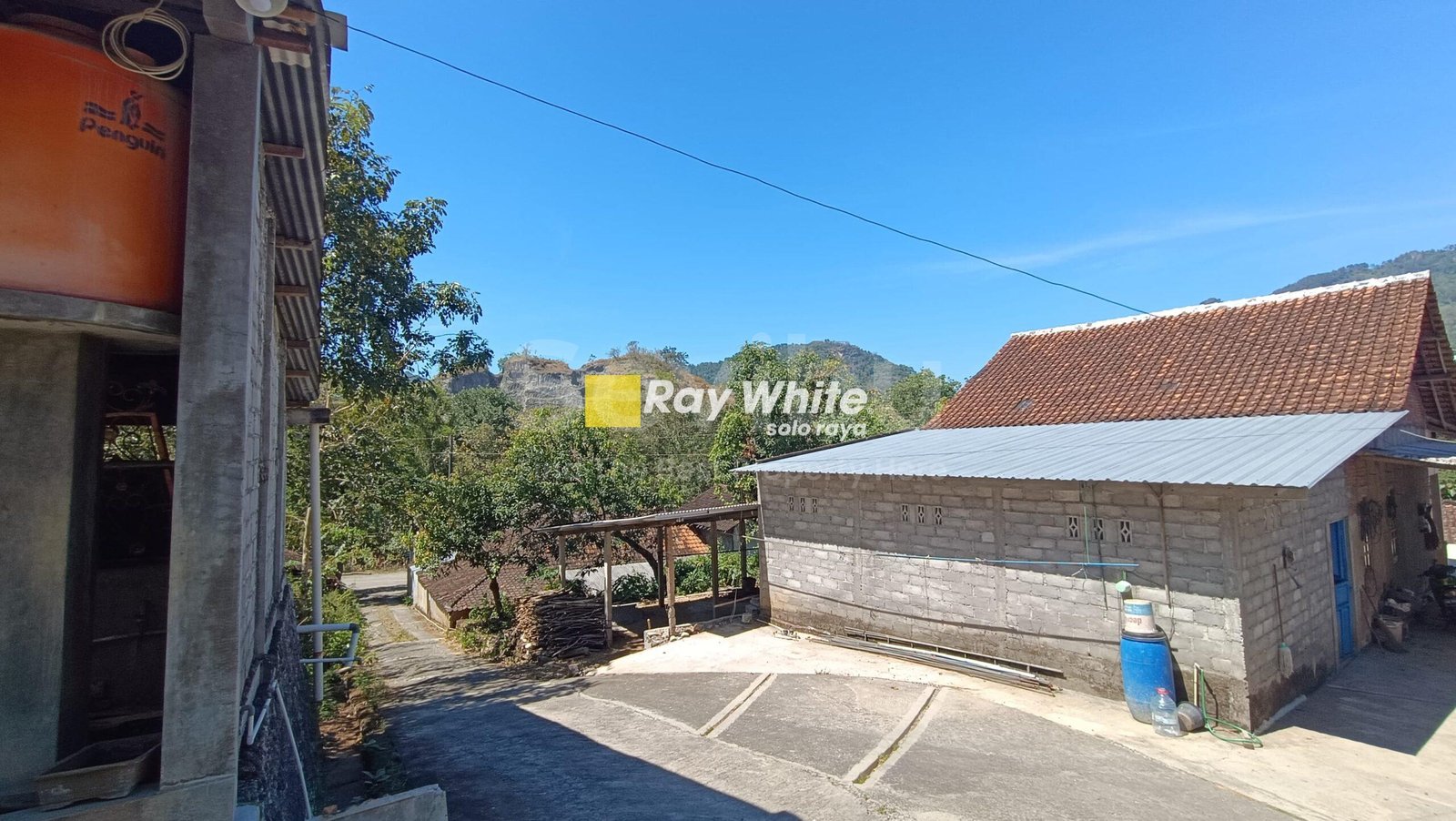 WhatsApp-Image-2025-07-19-at-3.06.10-PM-scaled