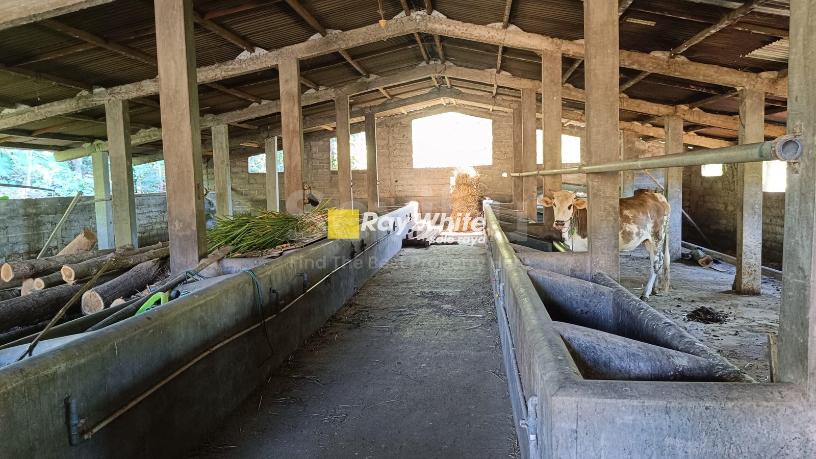 WhatsApp-Image-2025-07-19-at-3.06.11-PM-2-scaled