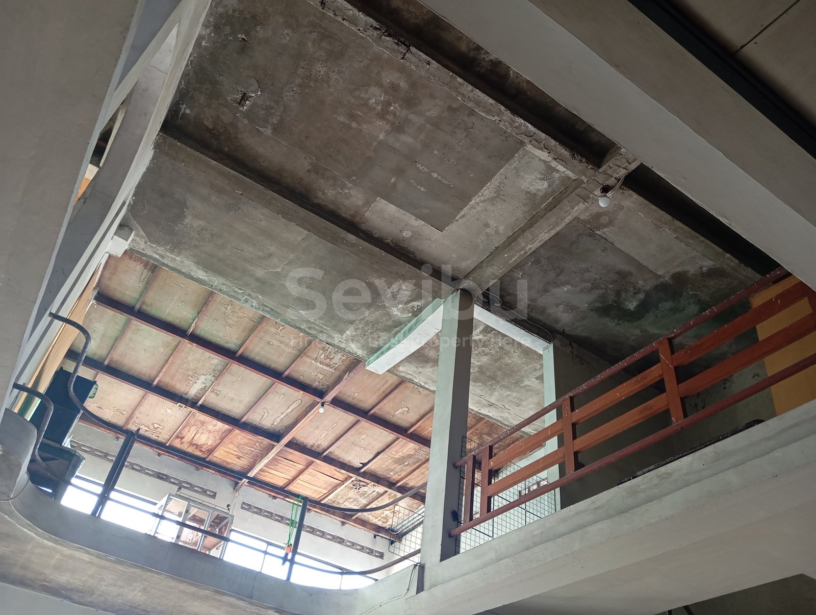 WhatsApp Image 2025-07-26 at 14.46.31