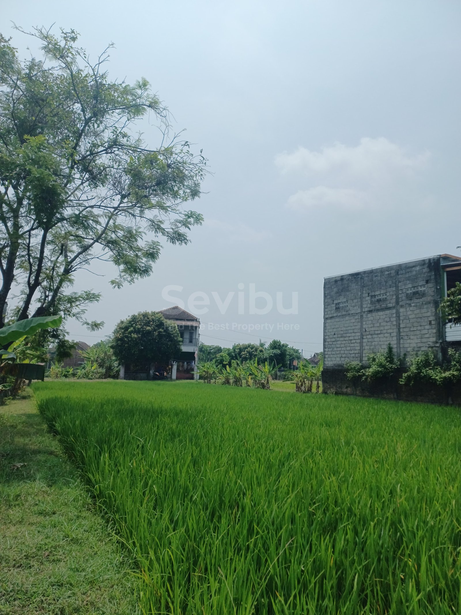 Kenteng Nogosari Boyolali LT 835 EK (5)