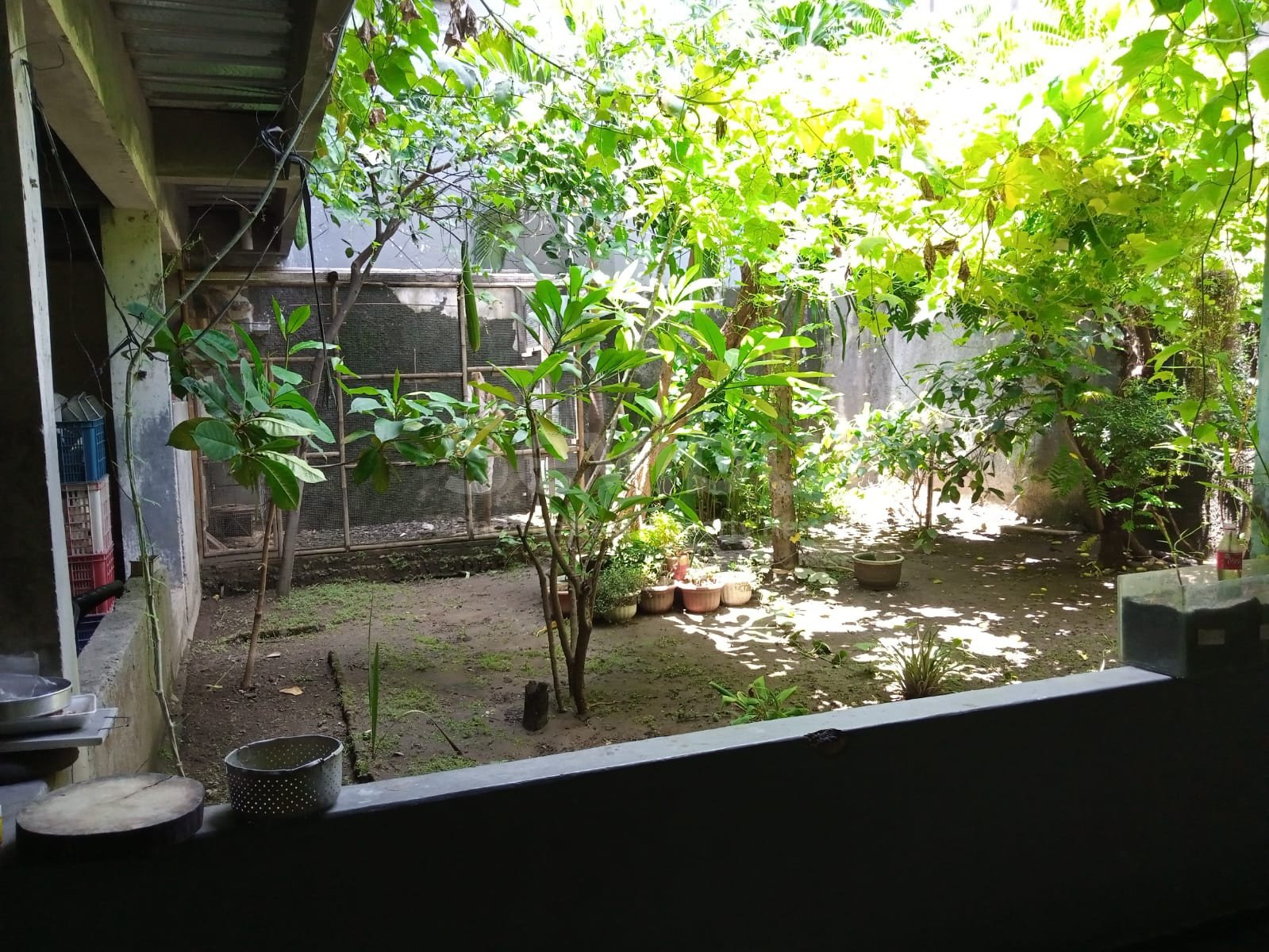 WhatsApp Image 2021-11-18 at 3.29.59 PM