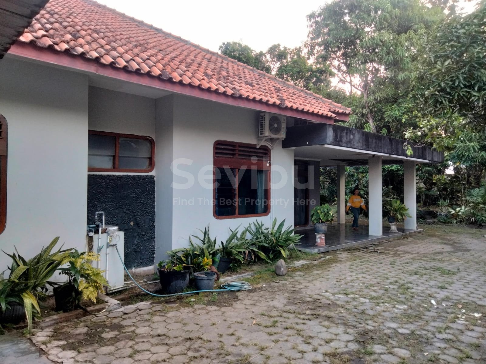 WhatsApp Image 2025-07-19 at 21.31.24 (1)