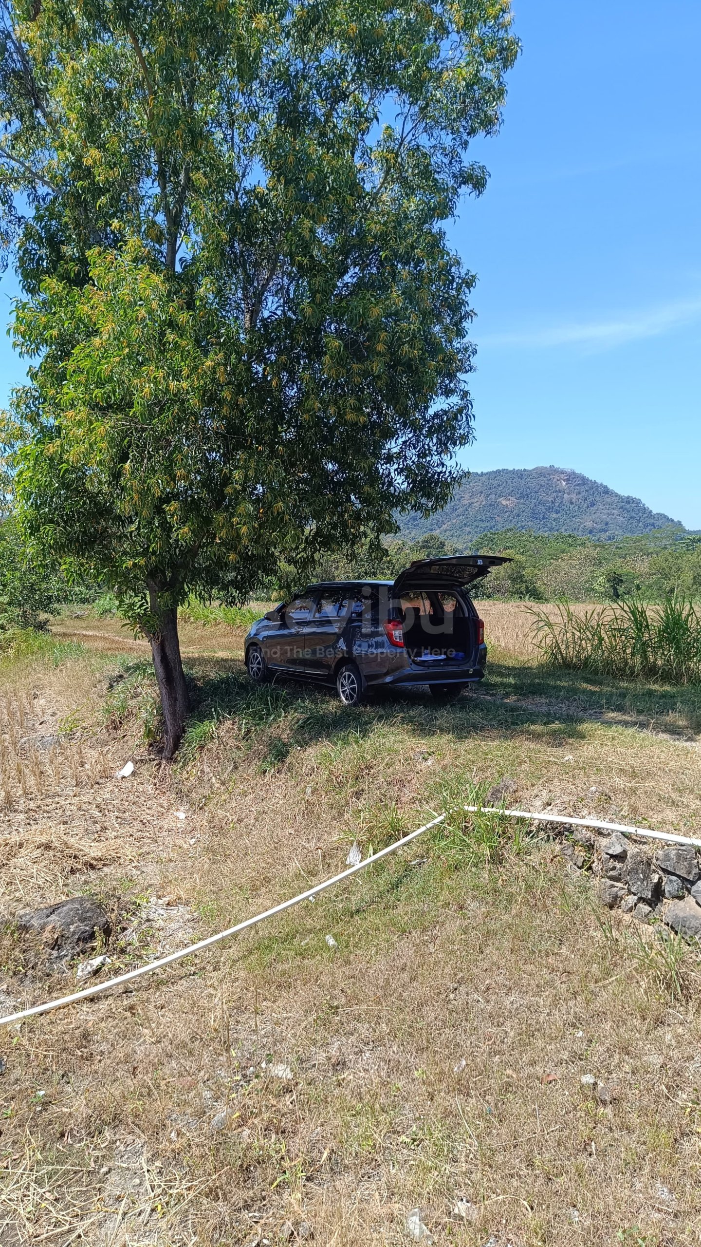 WhatsApp Image 2025-07-19 at 3.05.12 PM