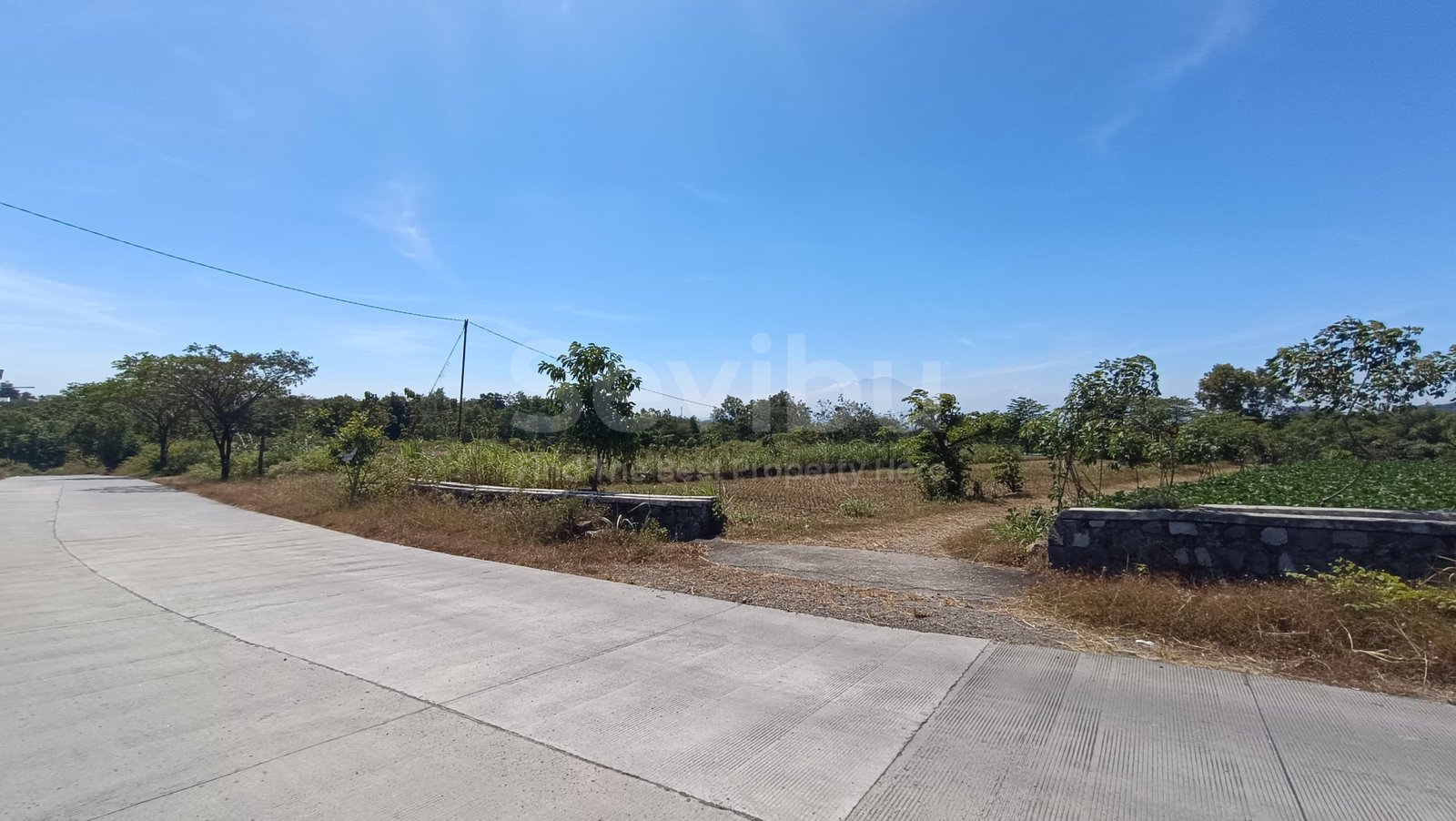 WhatsApp Image 2025-07-19 at 3.05.14 PM (1)