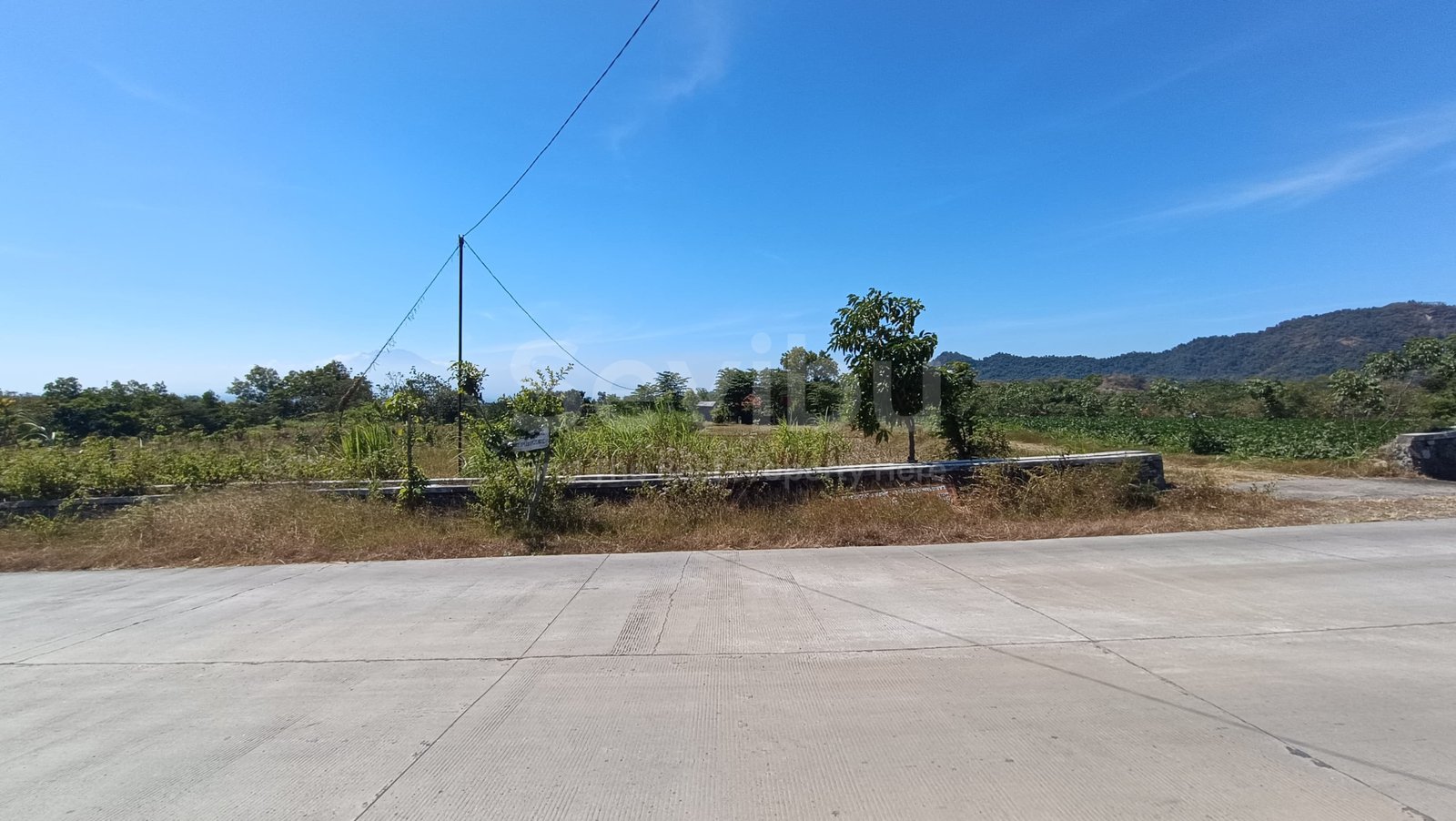 WhatsApp Image 2025-07-19 at 3.05.14 PM