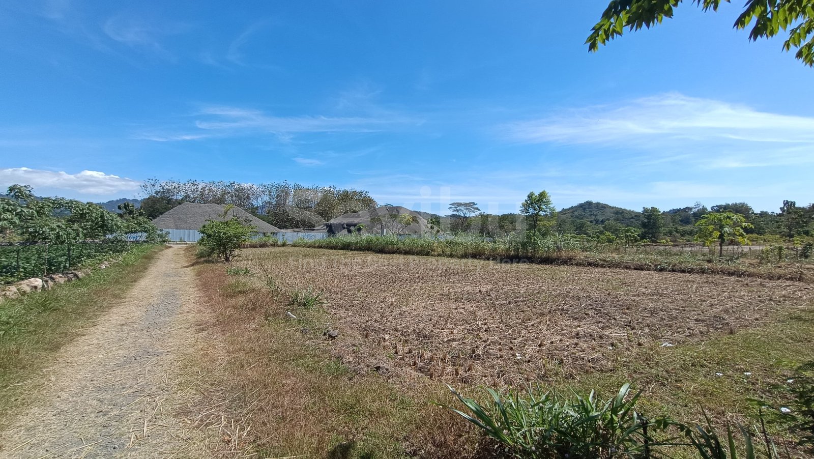 WhatsApp Image 2025-07-19 at 3.05.15 PM (1)