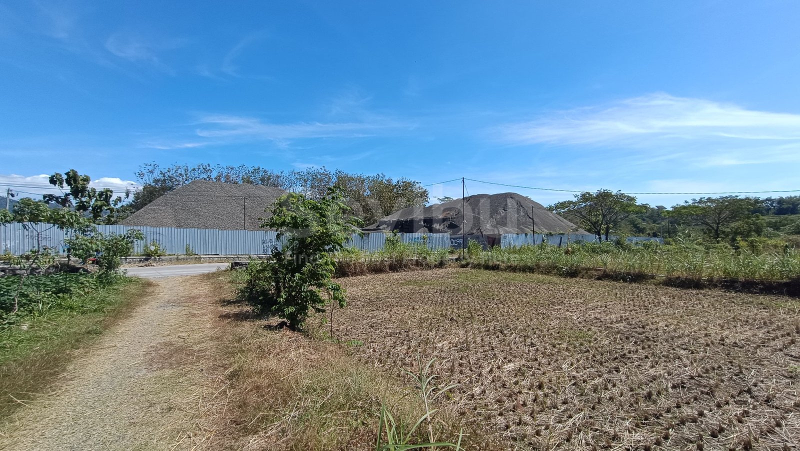 WhatsApp Image 2025-07-19 at 3.05.15 PM