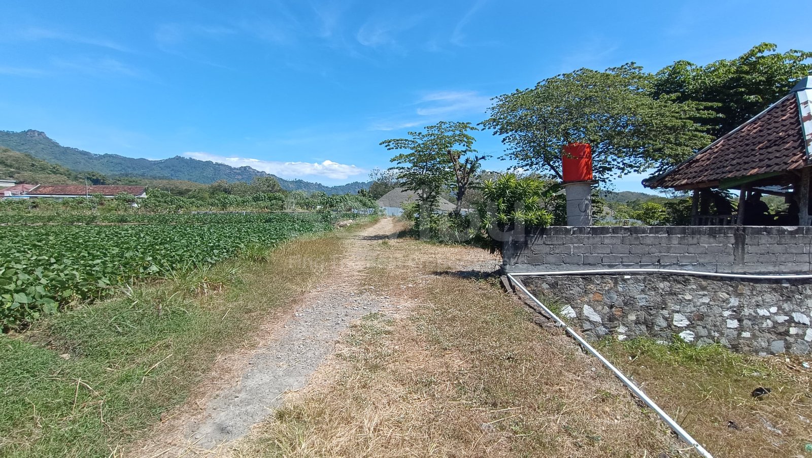 WhatsApp Image 2025-07-19 at 3.05.16 PM (1)