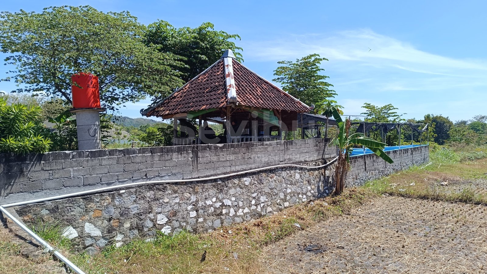 WhatsApp Image 2025-07-19 at 3.05.16 PM