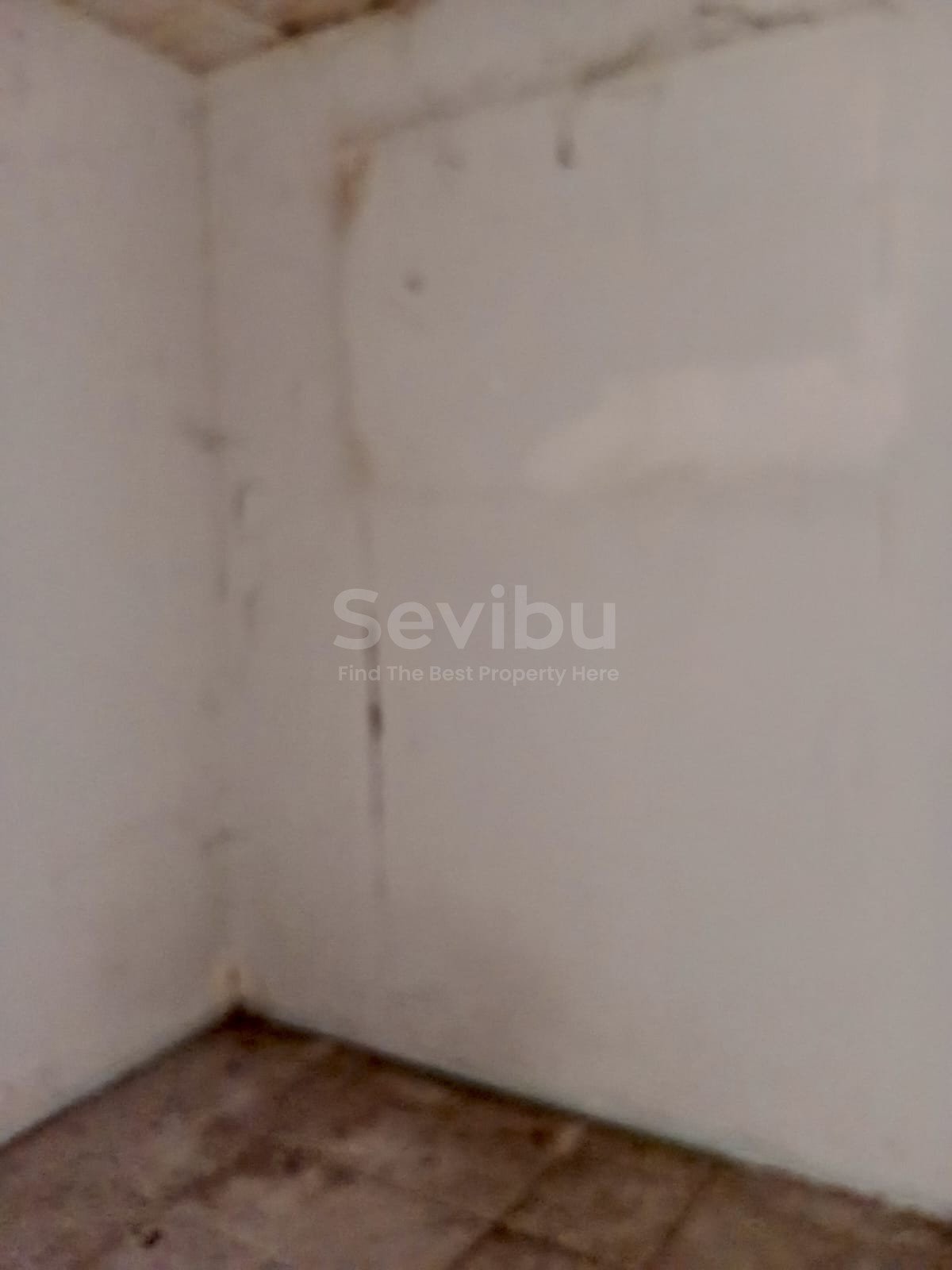 WhatsApp Image 2025-07-21 at 23.10.58 (1)