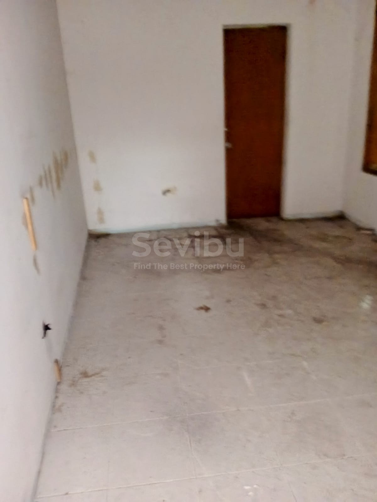 WhatsApp Image 2025-07-21 at 23.10.59