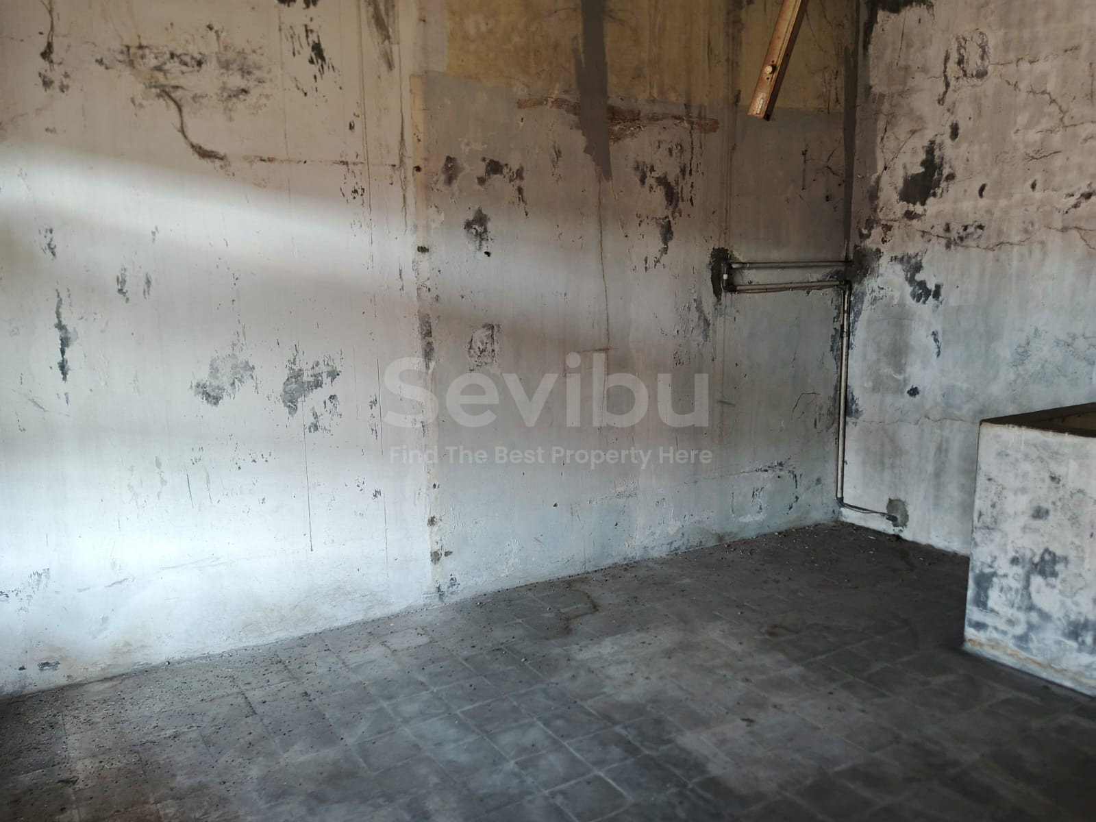 WhatsApp Image 2025-07-21 at 23.11.00 (1)