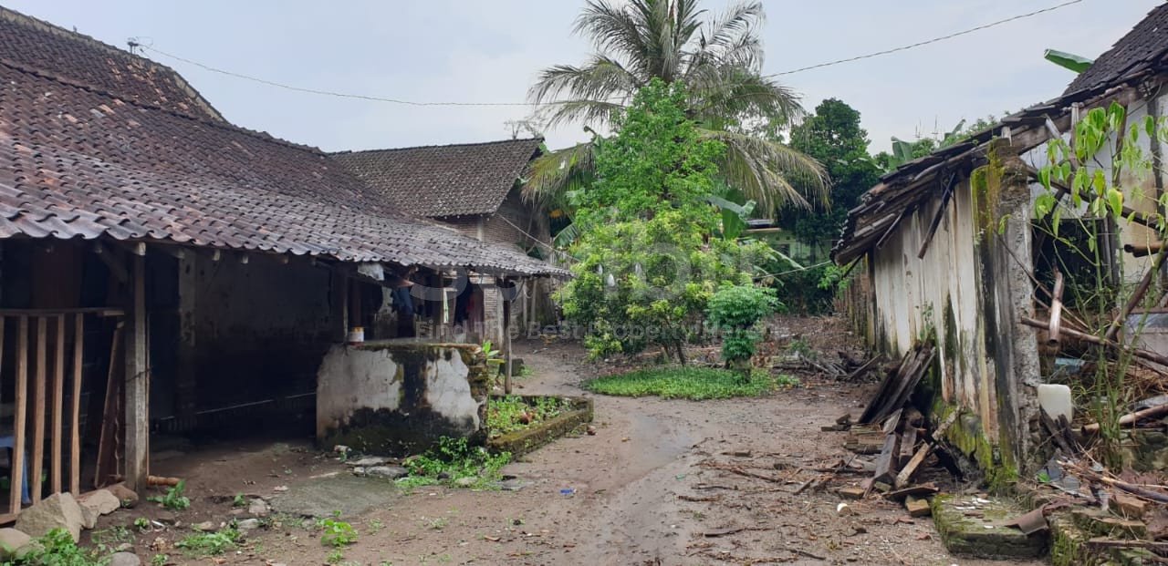 WhatsApp Image 2025-07-26 at 11.17.42 AM (1)