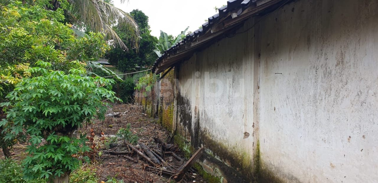 WhatsApp Image 2025-07-26 at 11.17.42 AM (2)