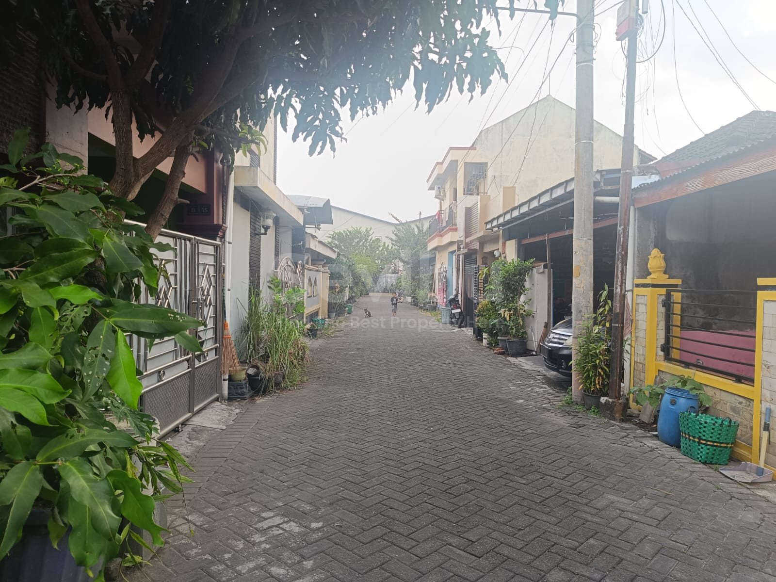 WhatsApp Image 2025-07-31 at 14.26.48