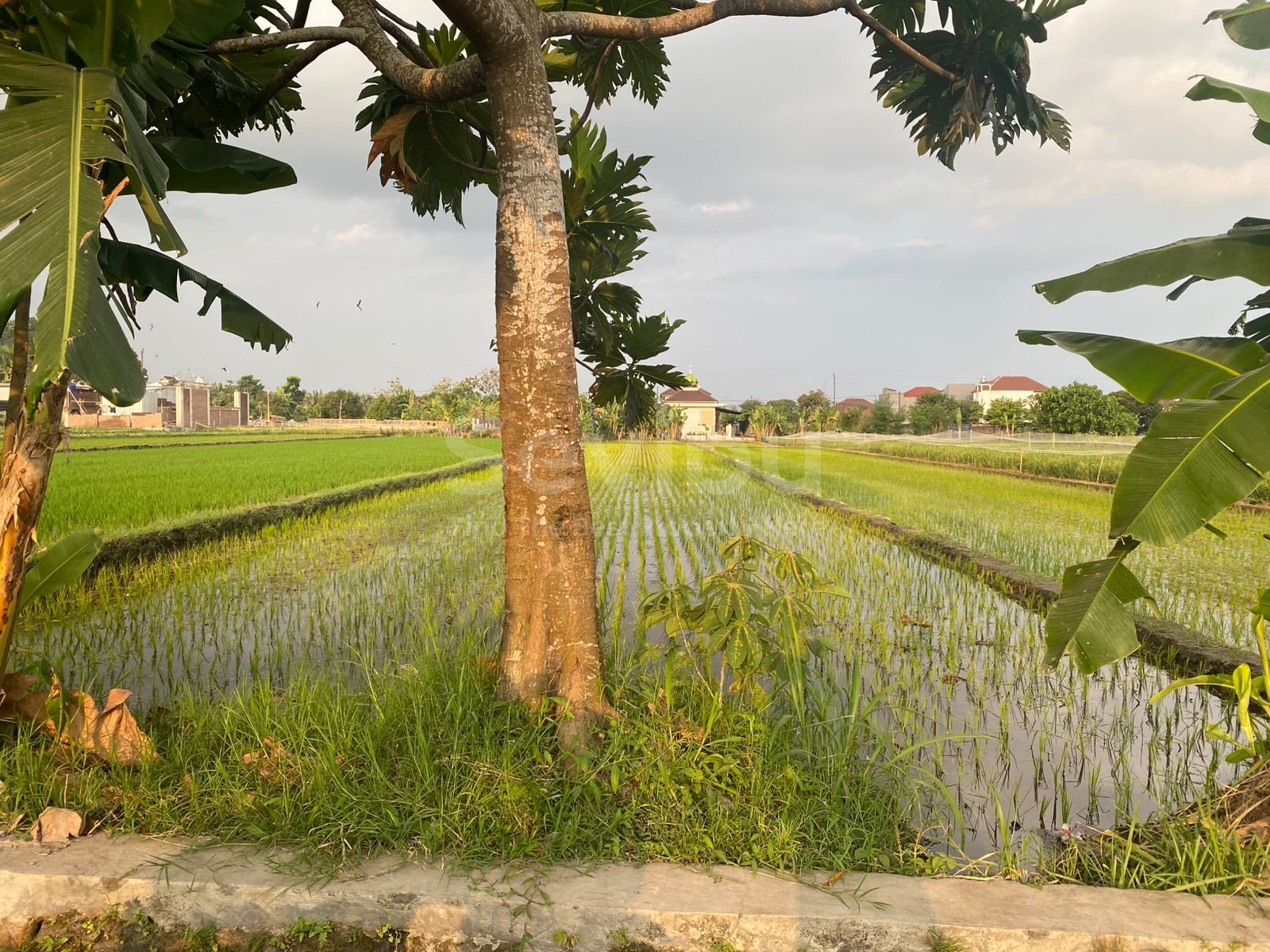 WhatsApp Image 2025-08-06 at 16.50.12 (1)