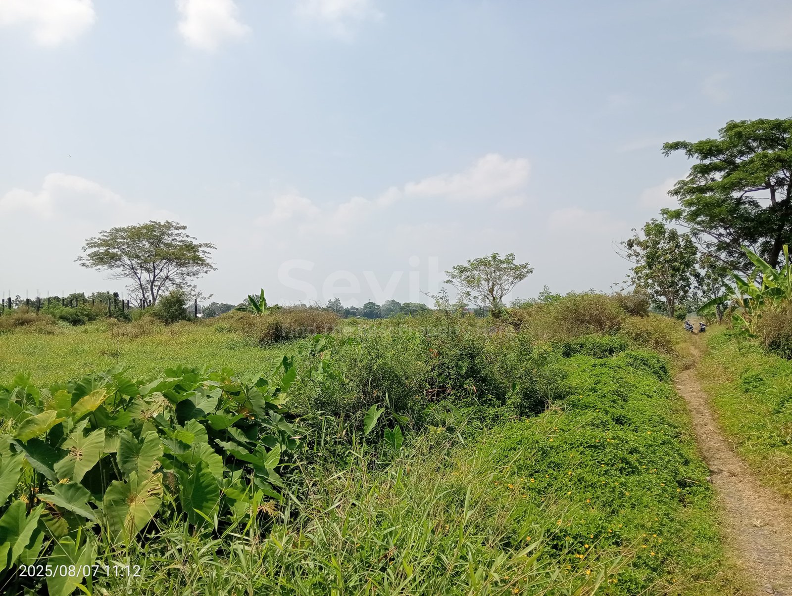 WhatsApp Image 2025-08-08 at 11.20.12