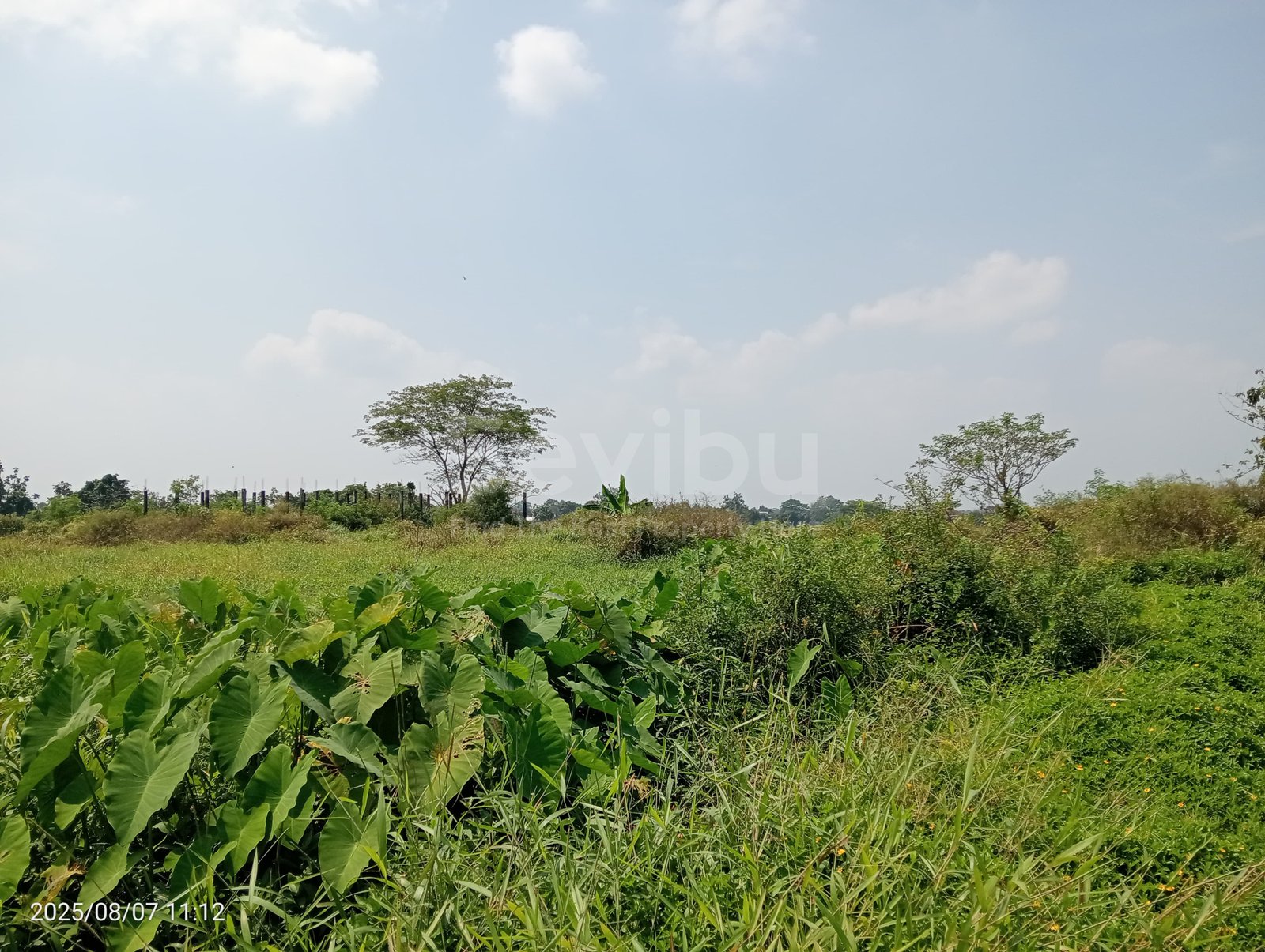 WhatsApp Image 2025-08-08 at 11.20.13 (1)