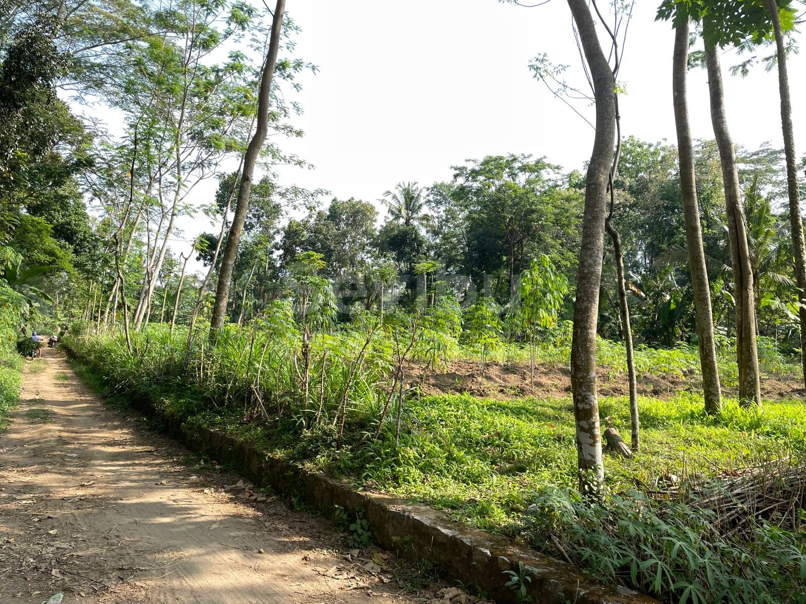 WhatsApp Image 2025-08-16 at 10.24.33