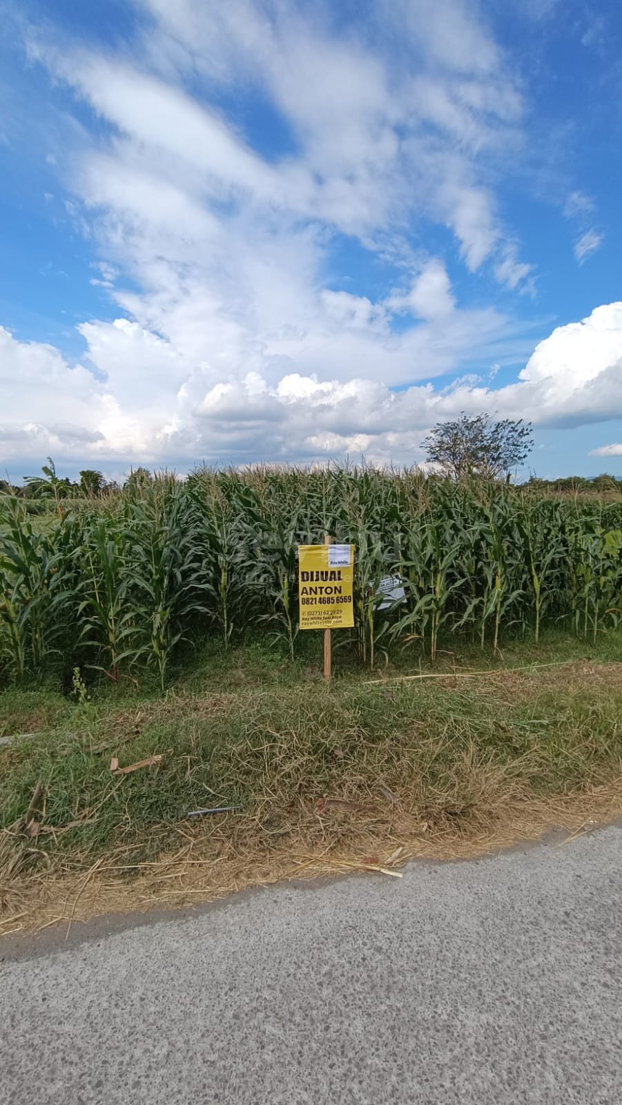 WhatsApp Image 2025-08-21 at 8.17.27 AM