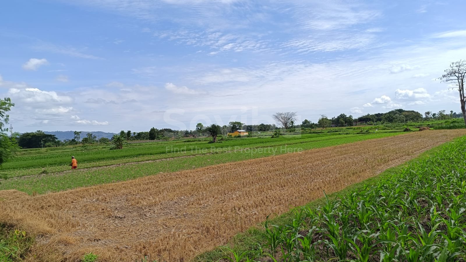 WhatsApp Image 2025-08-21 at 8.17.28 AM