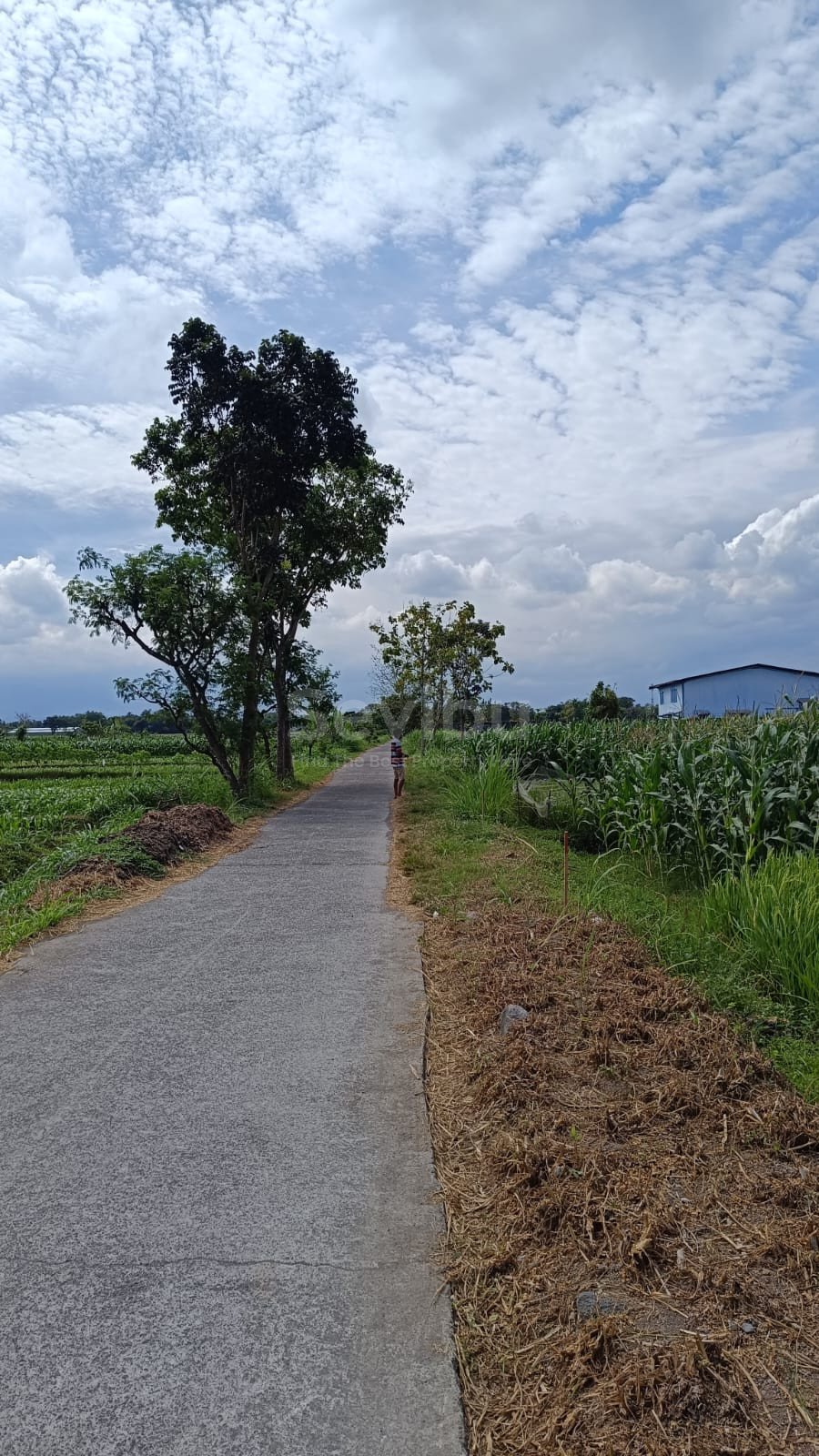 WhatsApp Image 2025-08-21 at 8.17.29 AM (1)