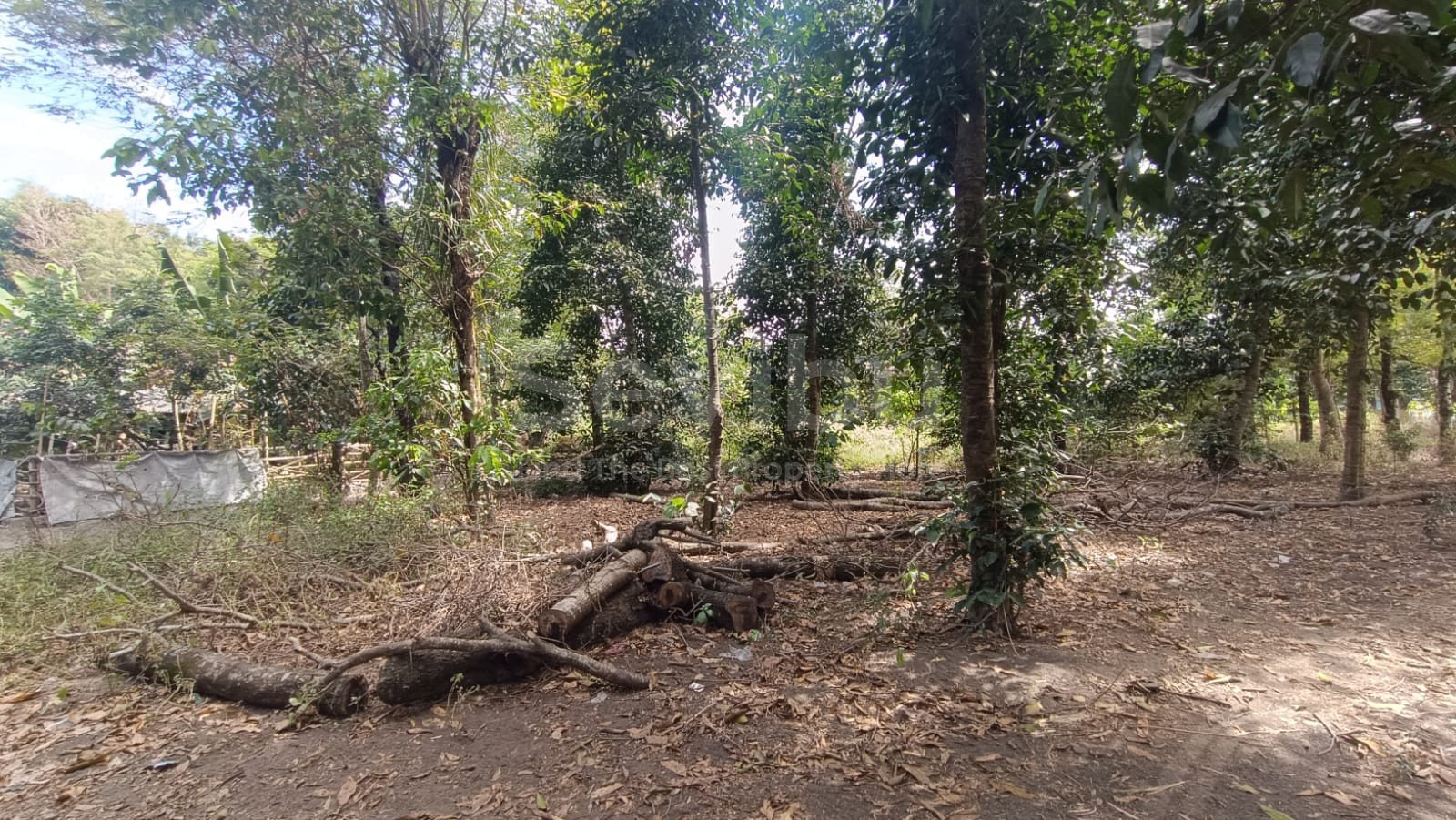 WhatsApp Image 2025-08-21 at 8.18.23 AM