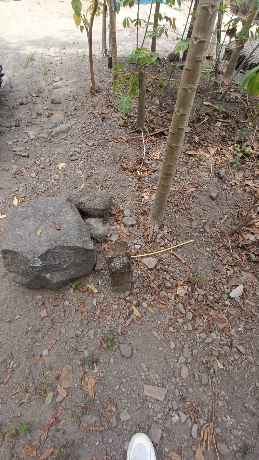 WhatsApp Image 2025-08-21 at 8.18.24 AM (1)