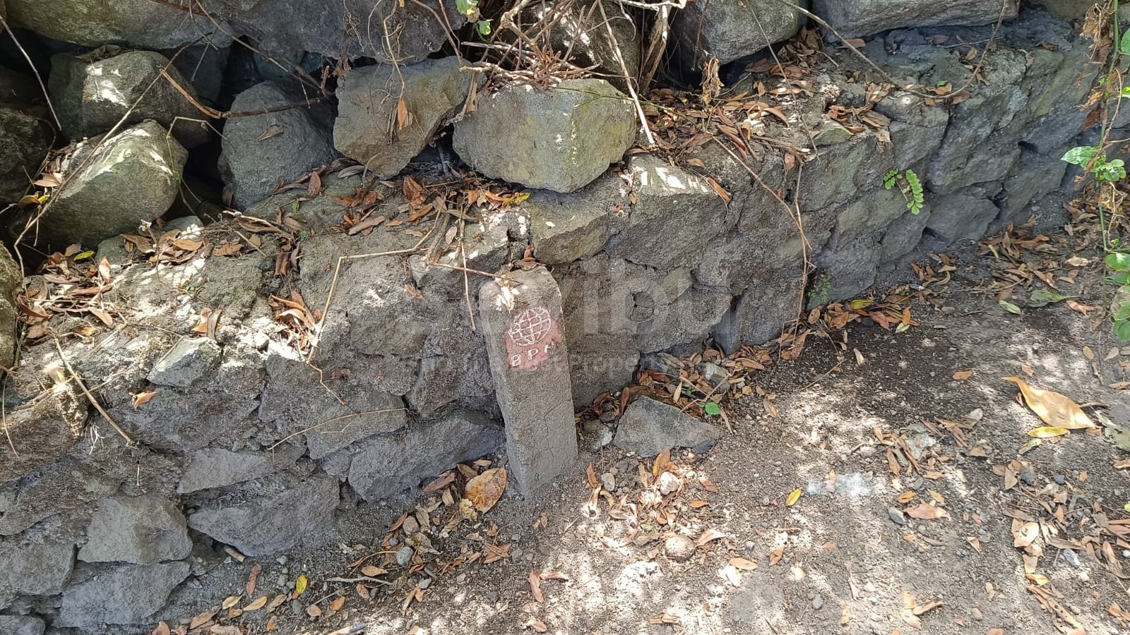 WhatsApp Image 2025-08-21 at 8.18.25 AM (1)