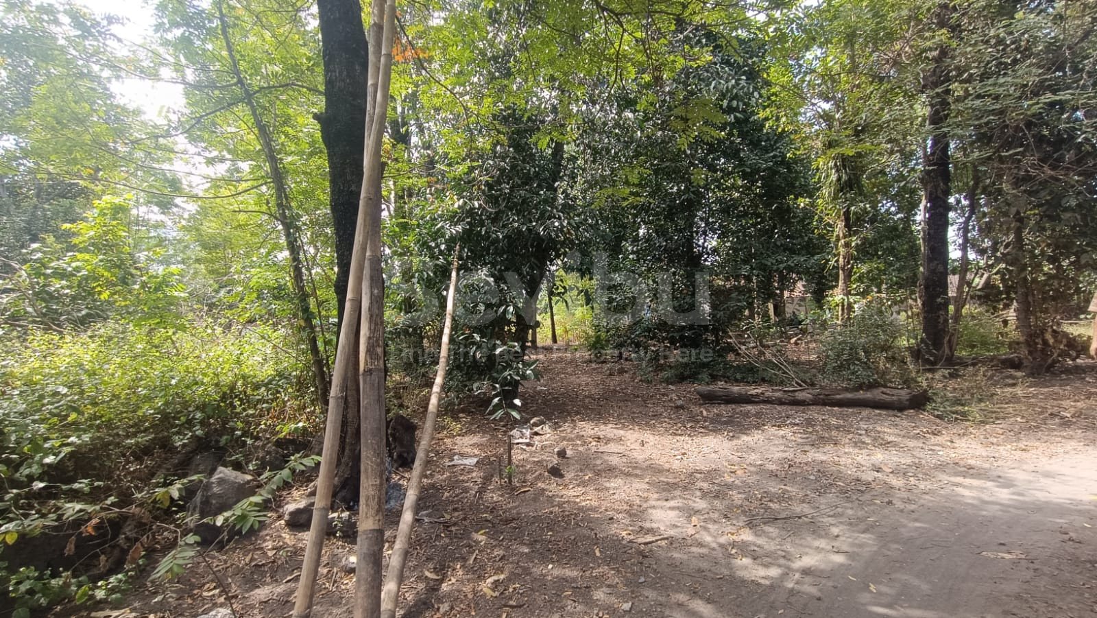 WhatsApp Image 2025-08-21 at 8.18.25 AM