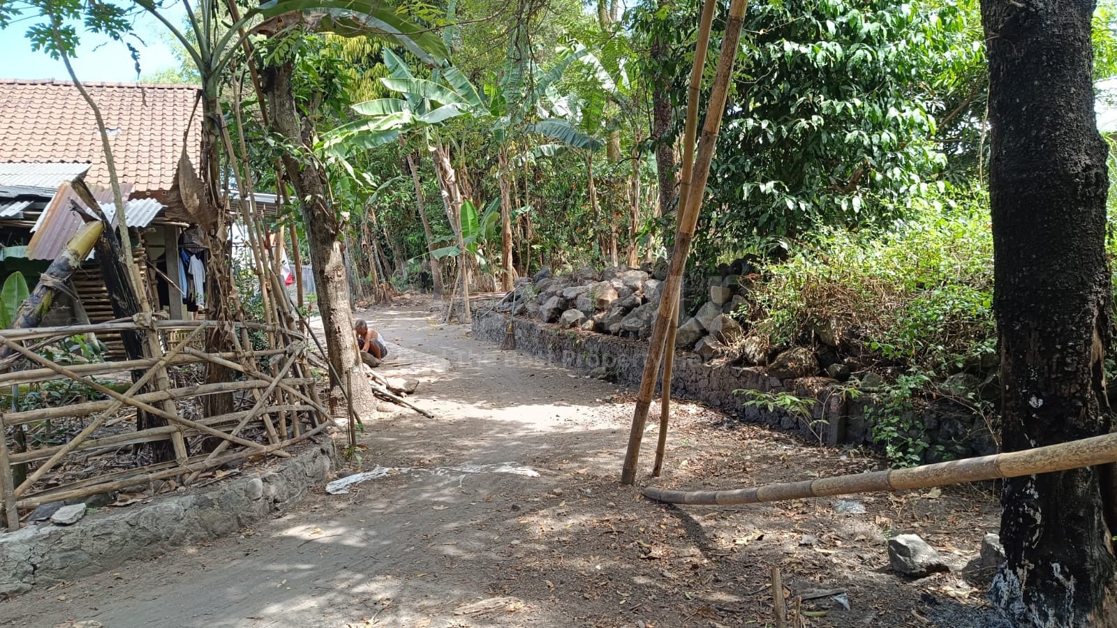 WhatsApp Image 2025-08-21 at 8.18.26 AM